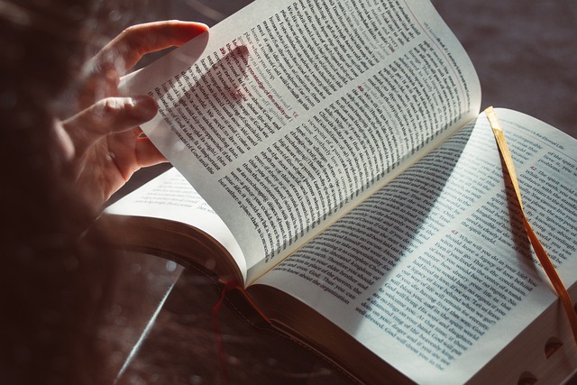 Waarom kiezen voor een particuliere mbo-opleiding?